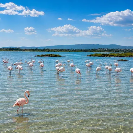 Apartman Signature 21 Les Pieds Dans L'eau